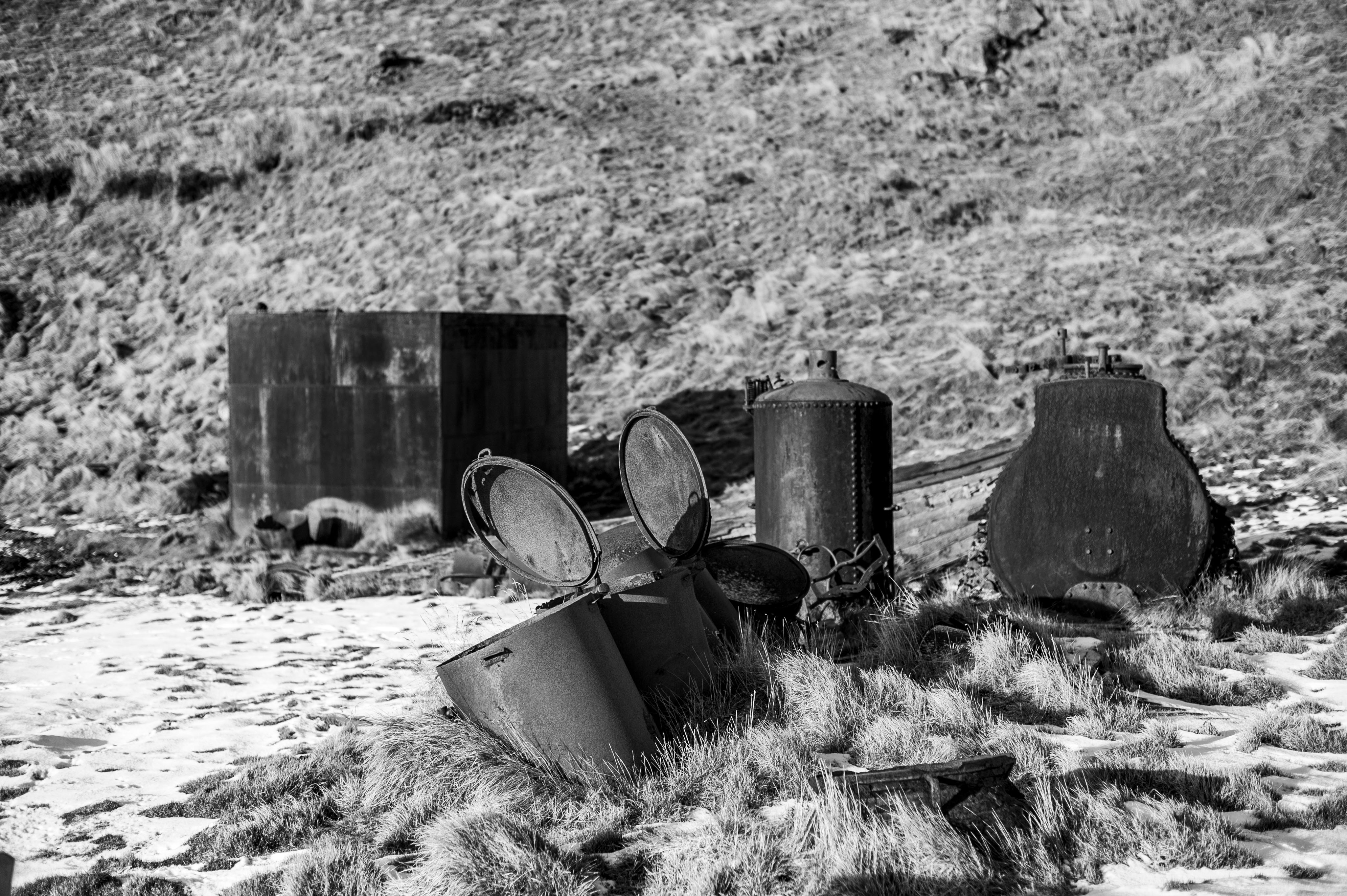 GYT 20220706 075330  DSC6613